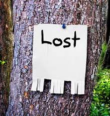 lost